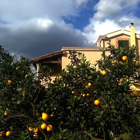 Su Canonigu Agriresort Tortolì Dış mekan fotoğraf
