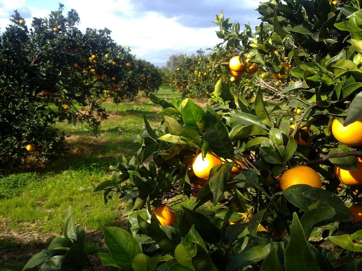 Su Canonigu Agriresort Tortolì Dış mekan fotoğraf
